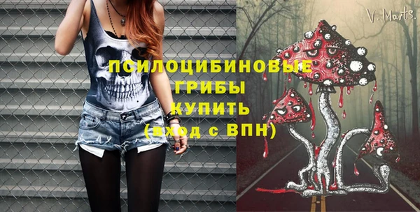 мдпв Вязьма