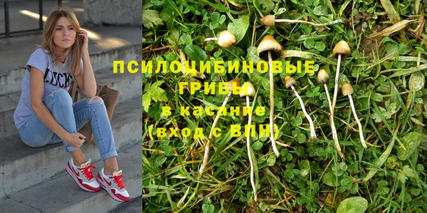 мдпв Вязьма