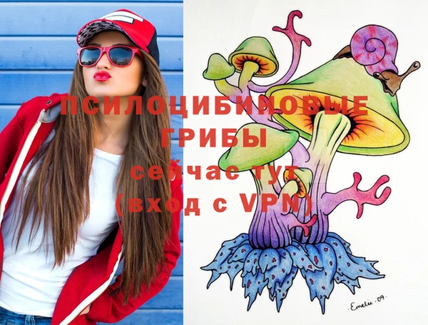 мдпв Вязьма