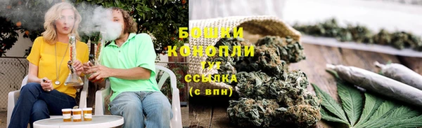 мдпв Вязьма