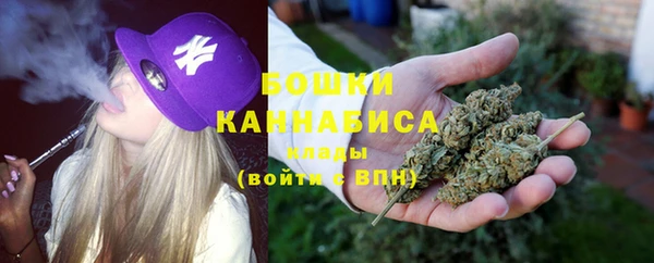ECSTASY Вяземский
