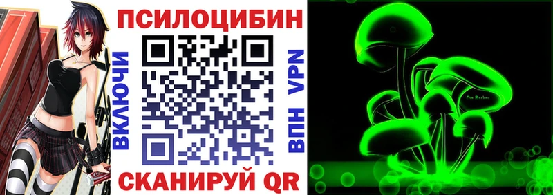 Купить  Болохово  Галлюциногенные грибы MAGIC MUSHROOMS 